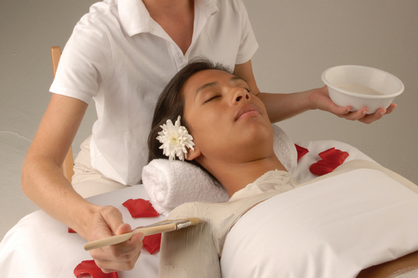 Spa facial treatment with brush
